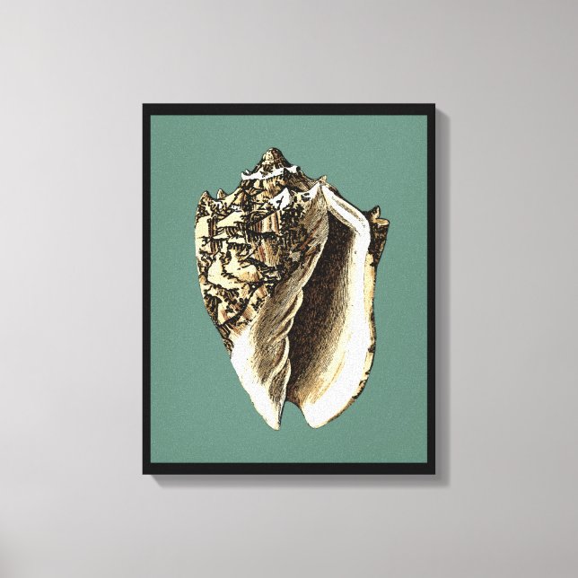 Aquamarin Conch-Muschel Leinwanddruck (Vorderseite)