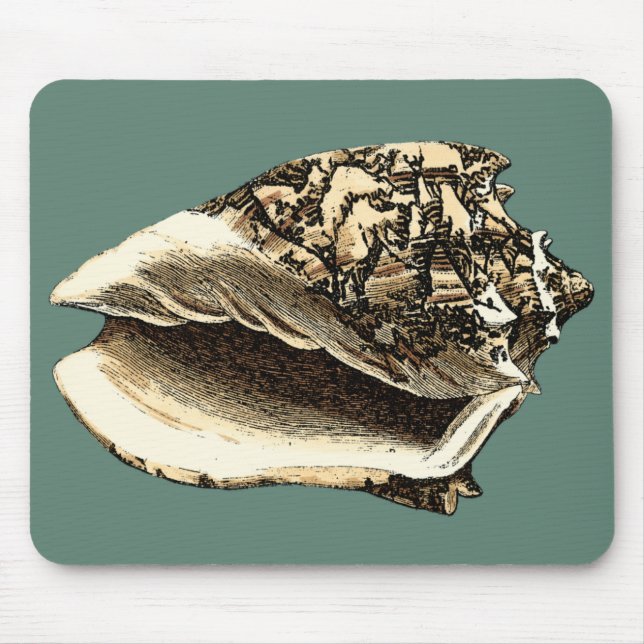 Aquamarin Conch-Muschel Mousepad (Vorne)