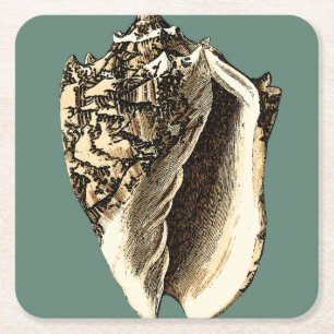 Aquamarin Conch-Muschel Rechteckiger Pappuntersetzer