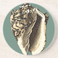 Aquamarin Conch-Muschel