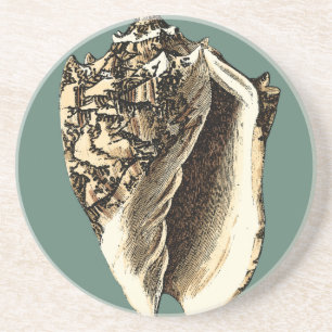 Aquamarin Conch-Muschel Untersetzer