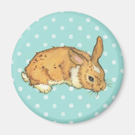 Aquamarin Polka Dot Bunny Magnet