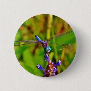 Aquamarin Rainbow Dragonfly Button