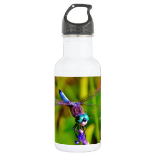 Aquamarin Rainbow Dragonfly Edelstahlflasche