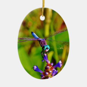 Aquamarin Rainbow Dragonfly Keramik Ornament