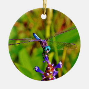 Aquamarin Rainbow Dragonfly Keramikornament