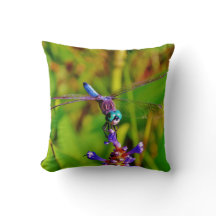 Aquamarin Rainbow Dragonfly