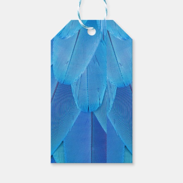 Aquamarine blaue Federn des Macaw Parrot Geschenkanhänger (Vorderseite)