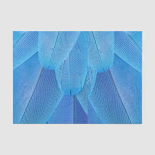 Aquamarine blaue Federn des Macaw Parrot Seidenpapier