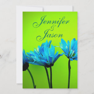 Aquamarine Gerber Daisies auf Einladung von Lime G