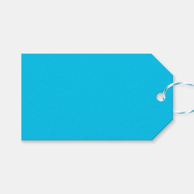 Aquamarine Gift-Tags Geschenkanhänger (Vorderseite (Horizontal))