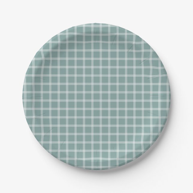 Aquamarine Gingham Gender Neutral Baby Dusche Pappteller (Vorderseite)