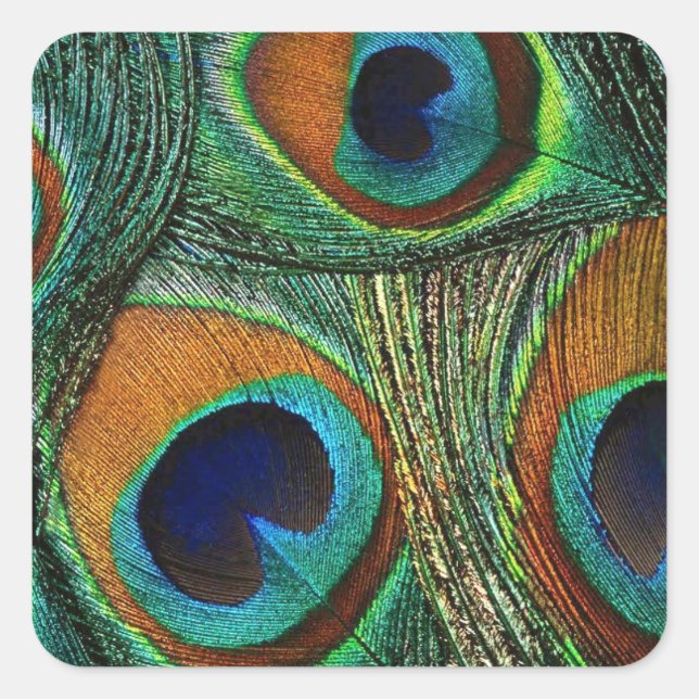 Aquamarine grün-blaue Pfau-Feder-Aufkleber/Siegel Quadratischer Aufkleber (Vorderseite)