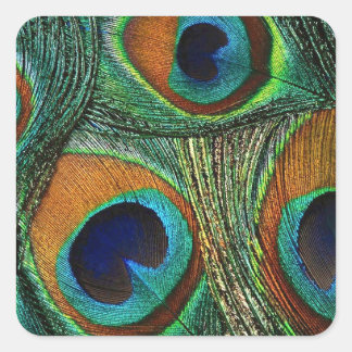 Aquamarine grün-blaue Pfau-Feder-Aufkleber/Siegel Quadratischer Aufkleber