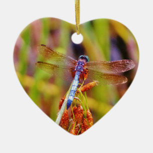 Aquamarine Libelle am Meer Keramikornament