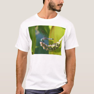 Aquamarine mit Augen Libelle T-Shirt