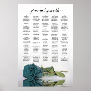 Aquamarine Rose Alphabetische Hochzeitssattelkarte Poster