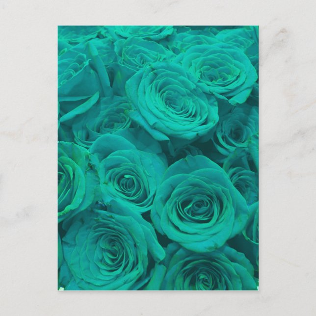 aquamarine Rose Postkarte (Vorderseite)