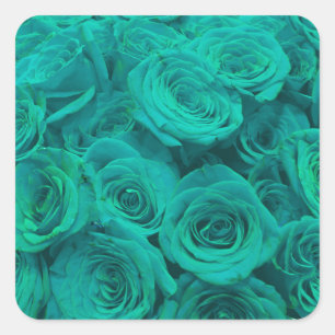 aquamarine Rose Quadratischer Aufkleber