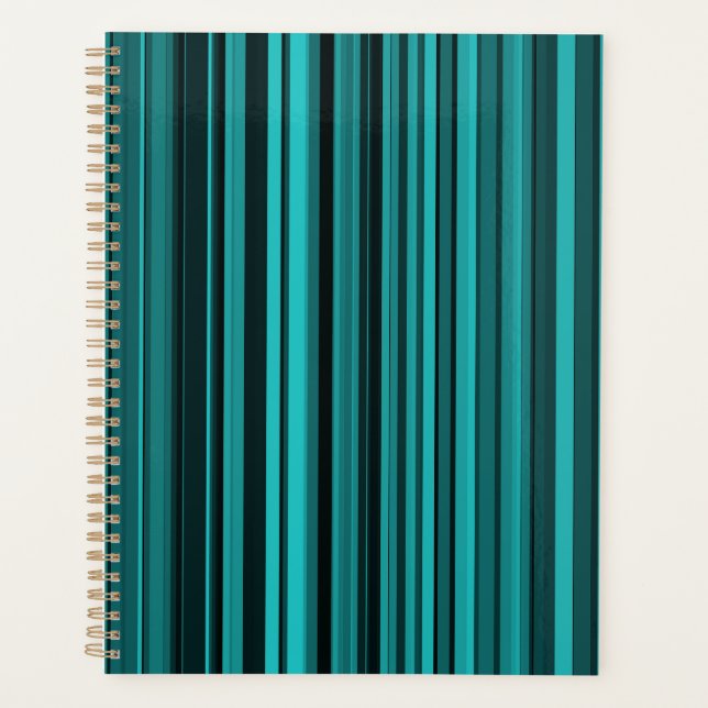 Aquamarine schwarze Streifen Planer (Vorderseite)