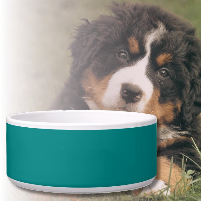 Aquamarine Solid Color | Classic | elegant Napf (Von Creator hochgeladen)