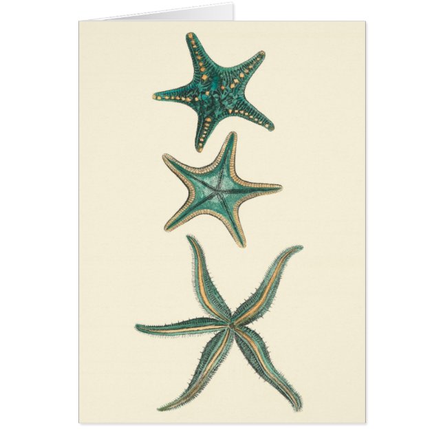 Aquamarine Triple Starfish (Vorne)