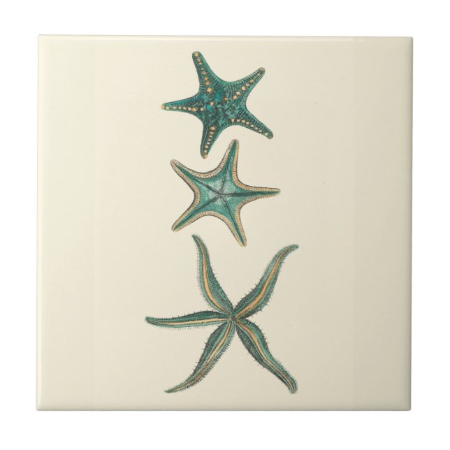 Aquamarine Triple Starfish Fliese (Vorderseite)