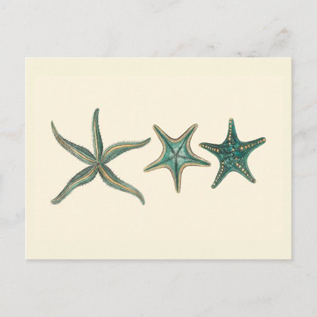 Aquamarine Triple Starfish Postkarte (Vorderseite)
