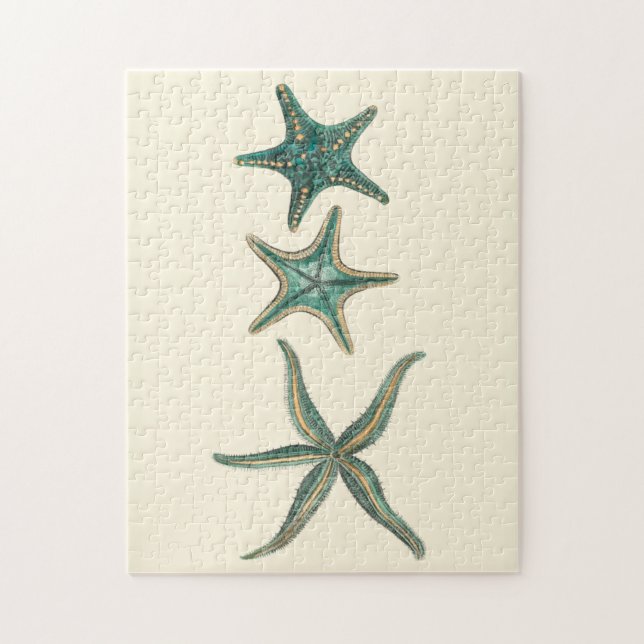 Aquamarine Triple Starfish Puzzle (Vertikal)