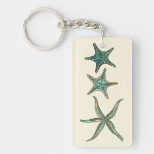 Aquamarinedreifache Starfish Schlüsselanhänger
