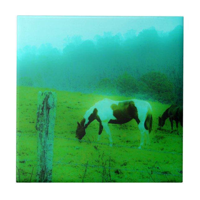 Aquamariner Nebel Reto gefärbte Pony Horse Fliese (Vorderseite)