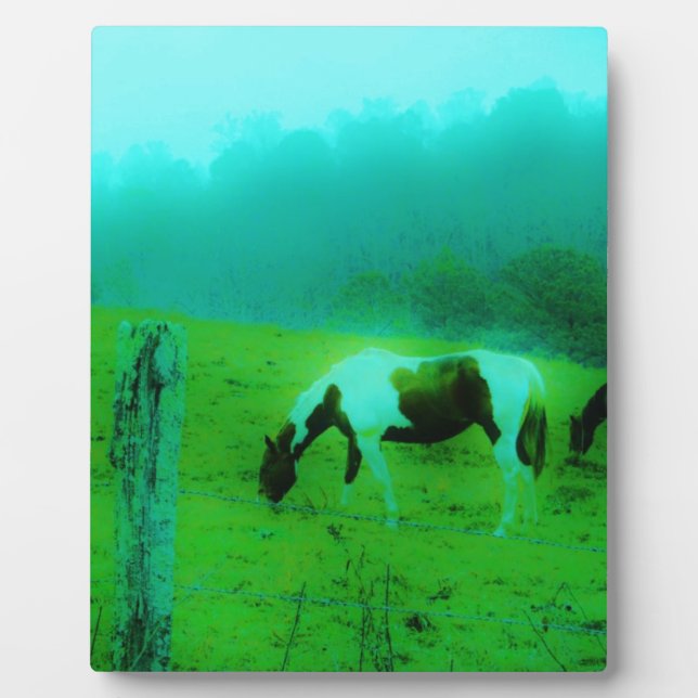 Aquamariner Nebel Reto gefärbte Pony Horse Fotoplatte (Vorderseite)