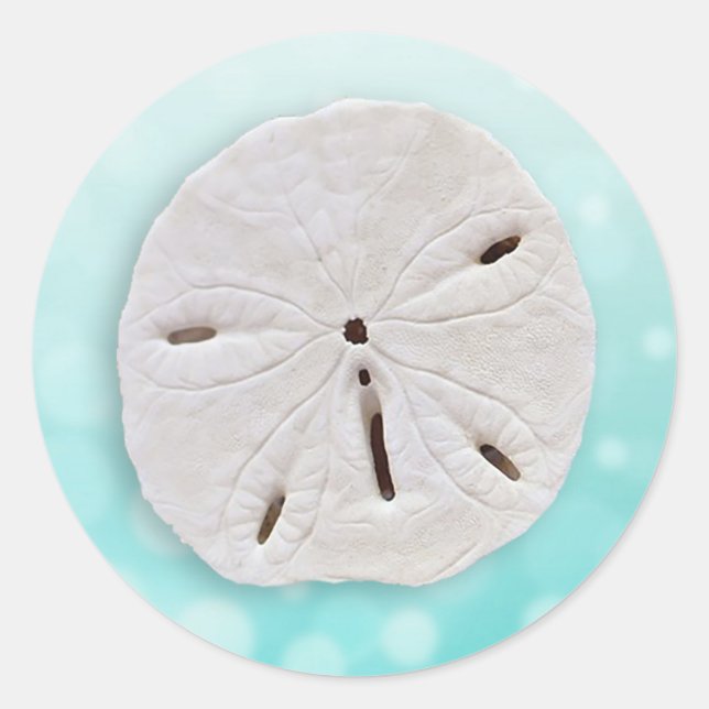 Aquamariner Sand-Dollar-Hochzeitsaufkleber Runder Aufkleber (Vorderseite)