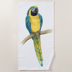 Aquamarines Macaw Strandtuch