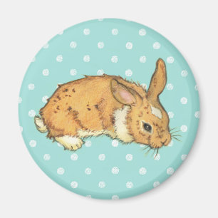 Aquamarines Polka-Punkthäschen Magnet