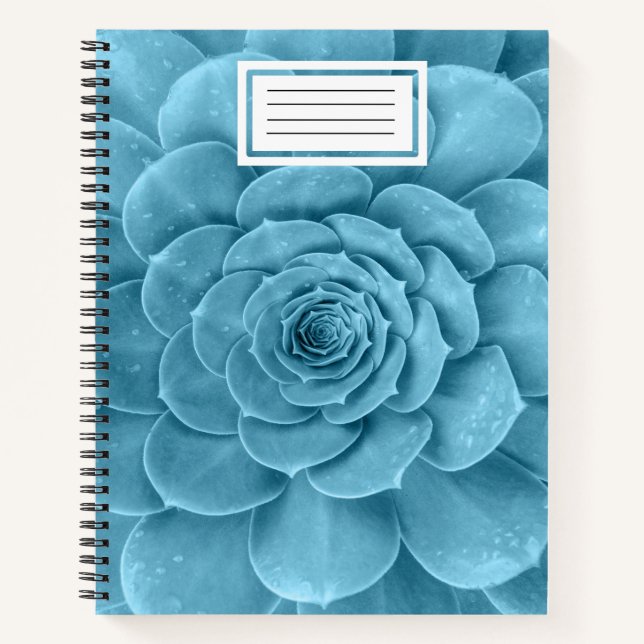 Aquamarines SpiralNotebook Notizbuch (Vorderseite)