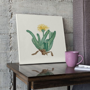 Aquarell Antikes Botanisches Kaktus Druckposter Poster