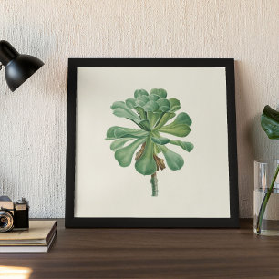 Aquarell Antikes Botanisches Kaktus Druckposter Poster