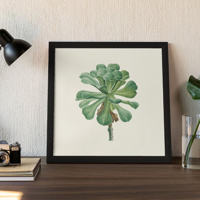 Aquarell Antikes Botanisches Kaktus Druckposter Poster (Watercolor Antique Botanical Cactus Print Poster)