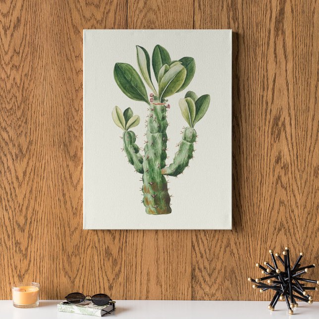 Aquarell Antikes Botanisches Kaktus Druckposter Poster (Watercolor Antique Botanical Cactus Print Poster)