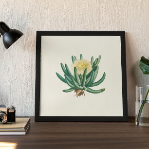 Aquarell Antikes Botanisches Kaktus Druckposter Poster