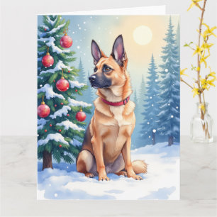 Aquarell Belgischer Malinois Immergrün Weihnachten Karte