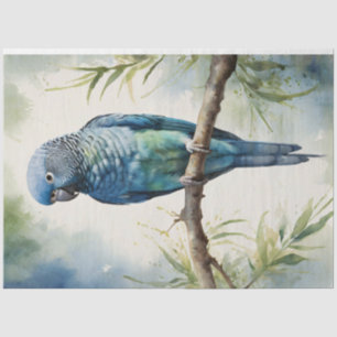 Aquarell Blau Sittich Eukalyptus Decoupage Seidenpapier