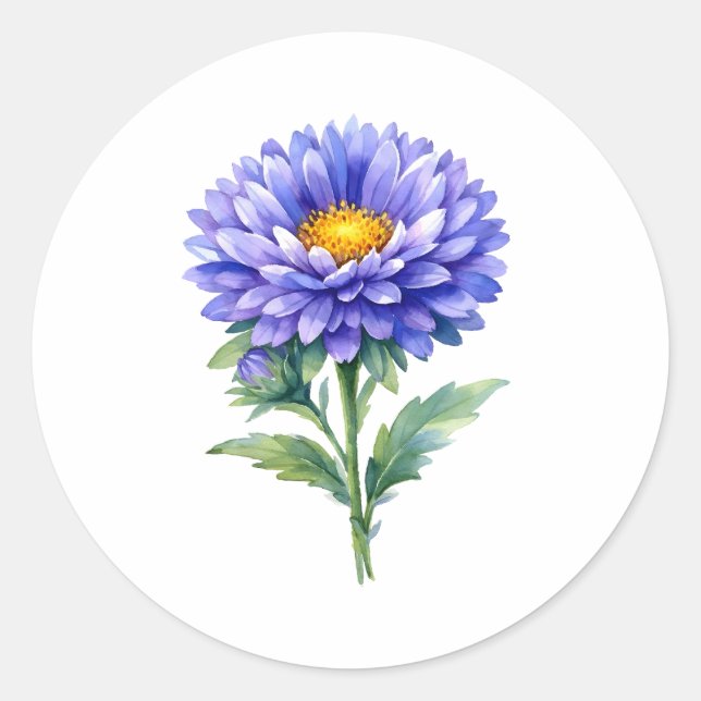 Aquarell blühende violette Aster-Blume  Runder Aufkleber (Vorderseite)
