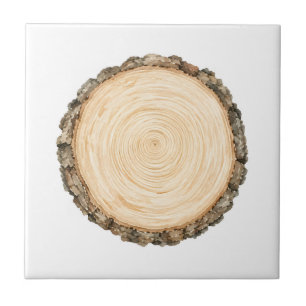 Aquarell-Borealer-Weißfichten-Stamm-Scheiben-Baum- Fliese