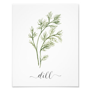 Aquarell-botanischer Kraut-Druck-Dill Fotodruck