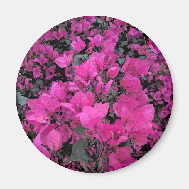Aquarell-Bougainvillea Magnet (Vorne)