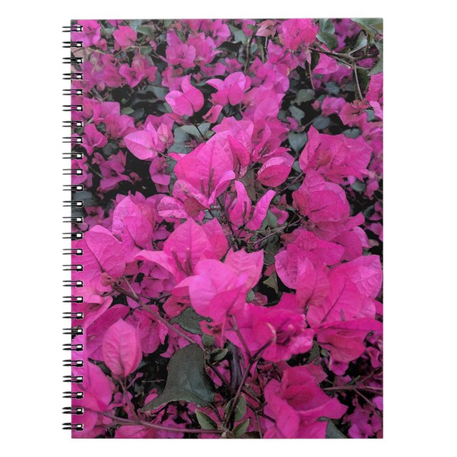 Aquarell-Bougainvillea Notizblock (Vorderseite)