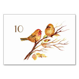 Aquarell-Braune-Vögel-Hochzeit-Tischkarte Tischnummer