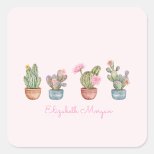 Aquarell Chic Sukkulenten Rosa Quadratischer Aufkleber